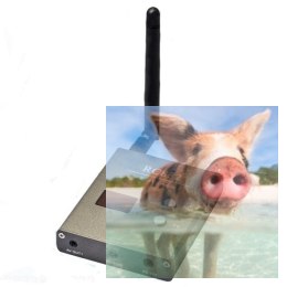 Odbiornik FPV RC832 AV 5.8GHz 32CH 12V