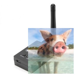 Odbiornik R051 150CH 5.8G FPV AV dla iPhone Android IOS