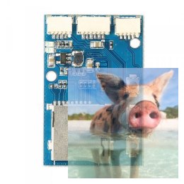 ProDVR Rejestrator wideo do sygnałów FPV