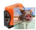 RunCam Eagle (FOV 140, 4:3, 800TVL, 5-17V)
