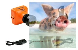 RunCam Eagle (FOV 140, 4:3, 800TVL, 5-17V)