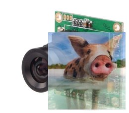 RunCam Mini FPV (2.8mm, 600TVL, 5-17V)