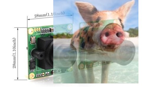 RunCam Mini FPV (2.8mm, 600TVL, 5-17V) RunCam Mini FPV (2.8mm, 600TVL, 5-17V)