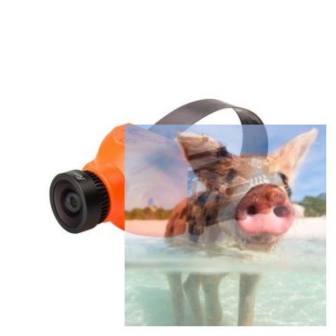 RunCam Split Mini (FOV165, 1080p 60FPS, 15g, 5-17V) RunCam Split Mini (FOV165, 1080p 60FPS, 15g, 5-17V)