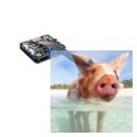RunCam Split Mini (FOV165, 1080p 60FPS, 15g, 5-17V)