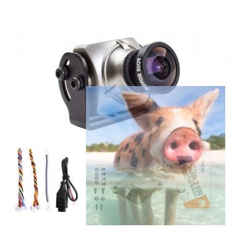 RunCam Swift 2 Rotor Riot