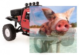 Samochód OFF-ROAD WPL C-14 (1:16, 4x4, 2.4G, LiPo) - Czerwony