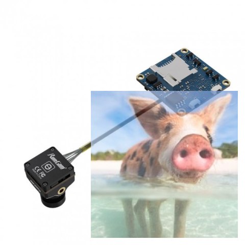 Split 4 (4K, FOV 140, 16:9, 5-20V)