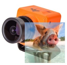 Swift Mini (2.5mm, FOV130, 600TVL, 12g, 5-36V)