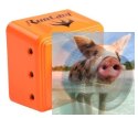 Swift Mini (2.5mm, FOV130, 600TVL, 12g, 5-36V)