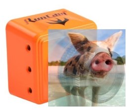 Swift Mini (2.5mm, FOV130, 600TVL, 12g, 5-36V)