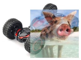 Twist 1:14 2.4GHz RTR - czerwony