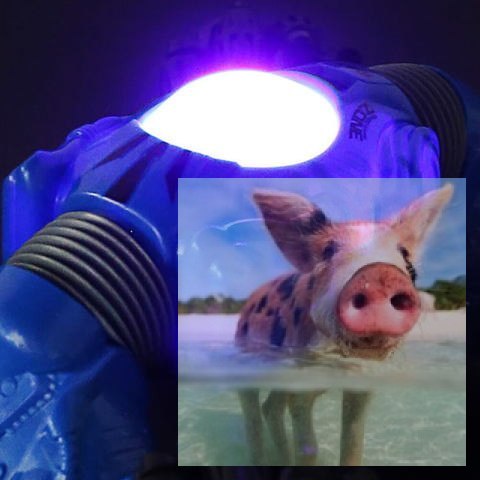 Twist Climber 1:16, 2.4GHz RTR - niebieski