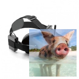 VR-007 PRO (5.8GHz, 40CH, 480x272, 4.3