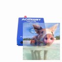Zestaw Aomway Nexus V1 TX+RX 1080p 500m 500MHz