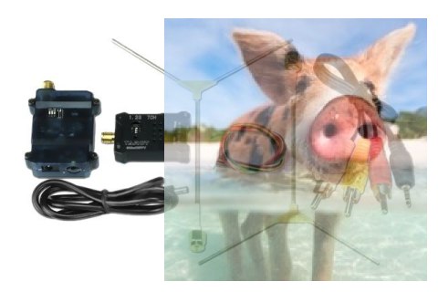 Zestaw Odbiornik + Nadajnik Tarot 1.2GHz 600mW 8CH FPV Audio/Wideo Zestaw Odbiornik + Nadajnik Tarot 1.2GHz 600mW 8CH FPV Audio/Wideo