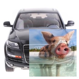 Audi Q7 RASTAR 1:14 RTR (zasilanie na baterie AA) - Czarny