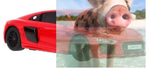 Audi R8 1:24 RTR (zasilanie na baterie AA) - Czerwony Audi R8 1:24 RTR (zasilanie na baterie AA) - Czerwony