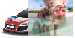 Audi R8 LMS Performance 1:18 RTR (zasilanie na baterie AA) - Biały