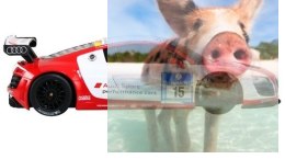 Audi R8 LMS Performance 1:18 RTR (zasilanie na baterie AA) - Biały