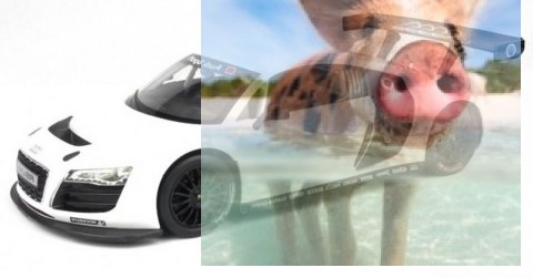Audi R8 RASTAR 1:14 RTR (zasilanie na baterie AA) - Biały Audi R8 RASTAR 1:14 RTR (zasilanie na baterie AA) - Biały