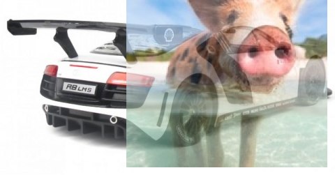 Audi R8 RASTAR 1:14 RTR (zasilanie na baterie AA) - Biały Audi R8 RASTAR 1:14 RTR (zasilanie na baterie AA) - Biały