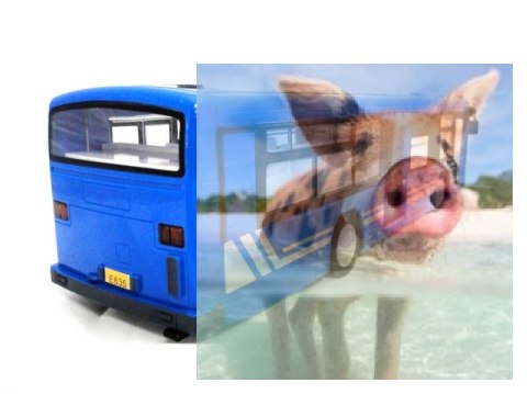 Autobus - Niebieski Autobus - Niebieski