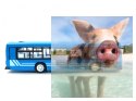 Autobus - Niebieski