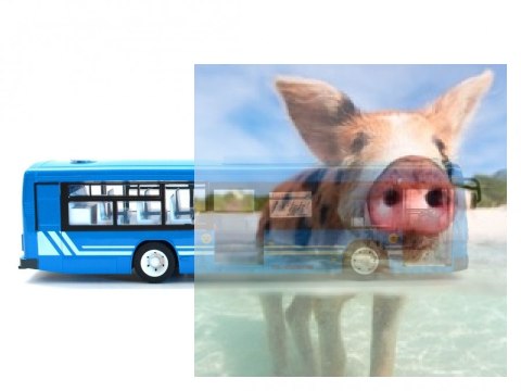 Autobus - Niebieski Autobus - Niebieski