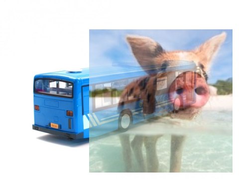 Autobus - Niebieski Autobus - Niebieski