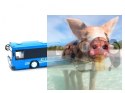 Autobus - Niebieski
