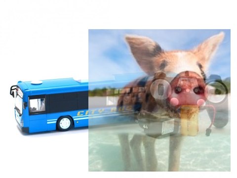 Autobus - Niebieski Autobus - Niebieski