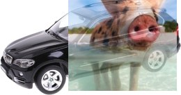 BMW X5 1:14 RTR RASTAR (akumulator, ładowarka sieciowa) - Czarny