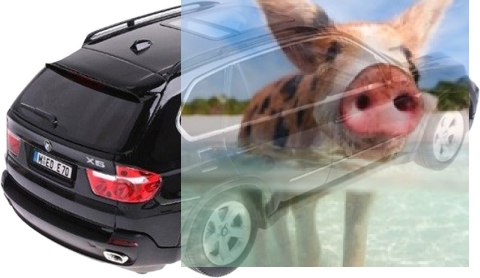 BMW X5 1:14 RTR RASTAR (akumulator, ładowarka sieciowa) - Czarny