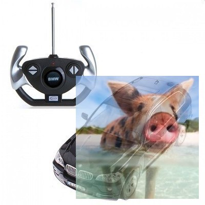 BMW X5 1:14 RTR RASTAR (akumulator, ładowarka sieciowa) - Czarny