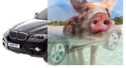 BMW X6 1:24 RTR (zasilanie na baterie AA) - Czarny