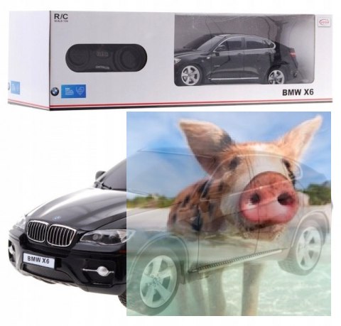 BMW X6 1:24 RTR (zasilanie na baterie AA) - Czarny