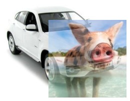 BMW X6 Rastar 1:14 RTR (zasilanie na baterie AA) - Biały