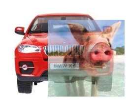 BMW X6 Rastar 1:14 RTR (zasilanie na baterie AA) - Czerwony