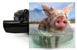 BMW Z4 1:14 2.4GHz RTR (zasilanie na baterie AA) - Czarny