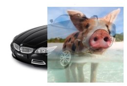 BMW Z4 CABRIO 1:12 RTR (zasilanie na baterie AA) - Czarny