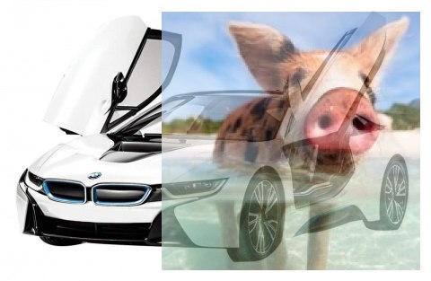 BMW i8 1:14 RTR (zasilanie na baterie AA) - Biały BMW i8 1:14 RTR (zasilanie na baterie AA) - Biały