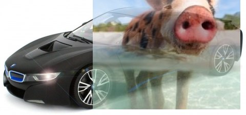 BMW i8 RASTAR 1:14 RTR (zasilanie na baterie AA) - Czarny BMW i8 RASTAR 1:14 RTR (zasilanie na baterie AA) - Czarny