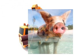 Ciężarówka z dźwigiem 2.4GHz 1:20 (dźwięki i światła, podnoszony i opuszczany dźwig)