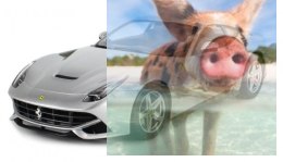 Ferrari F12 RASTAR 1:14 RTR (zasilanie na baterie AA) - Srebrny