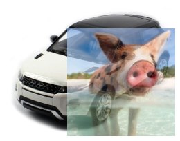 Range Rover Evoque 1:14 RTR (zasilanie na baterie AA) - Biały