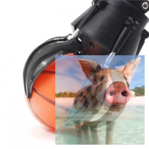 Chwytacz piłek gąsienicowy Alloy 1:14 16CH 2.4GHz RTR