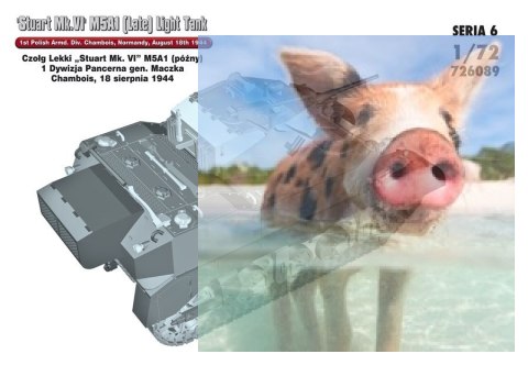 Czołg Lekki "Stuart Mk.VI" M5A1 1 Dywizja Pancerna gen. Maczka, Chambois, 18 sierpnia 1944