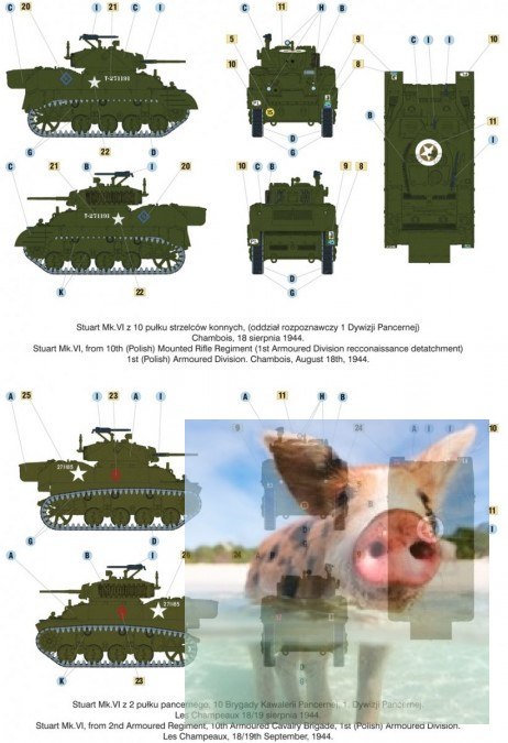 Czołg Lekki "Stuart Mk.VI" M5A1 1 Dywizja Pancerna gen. Maczka, Chambois, 18 sierpnia 1944