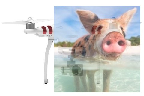DJI Phantom 3 Standard (kamera HD 2,7K FPV, GPS, planowanie trasy. zasięg 1000m) DJI Phantom 3 Standard (kamera HD 2,7K FPV, GPS, planowanie trasy. zasięg 1000m)